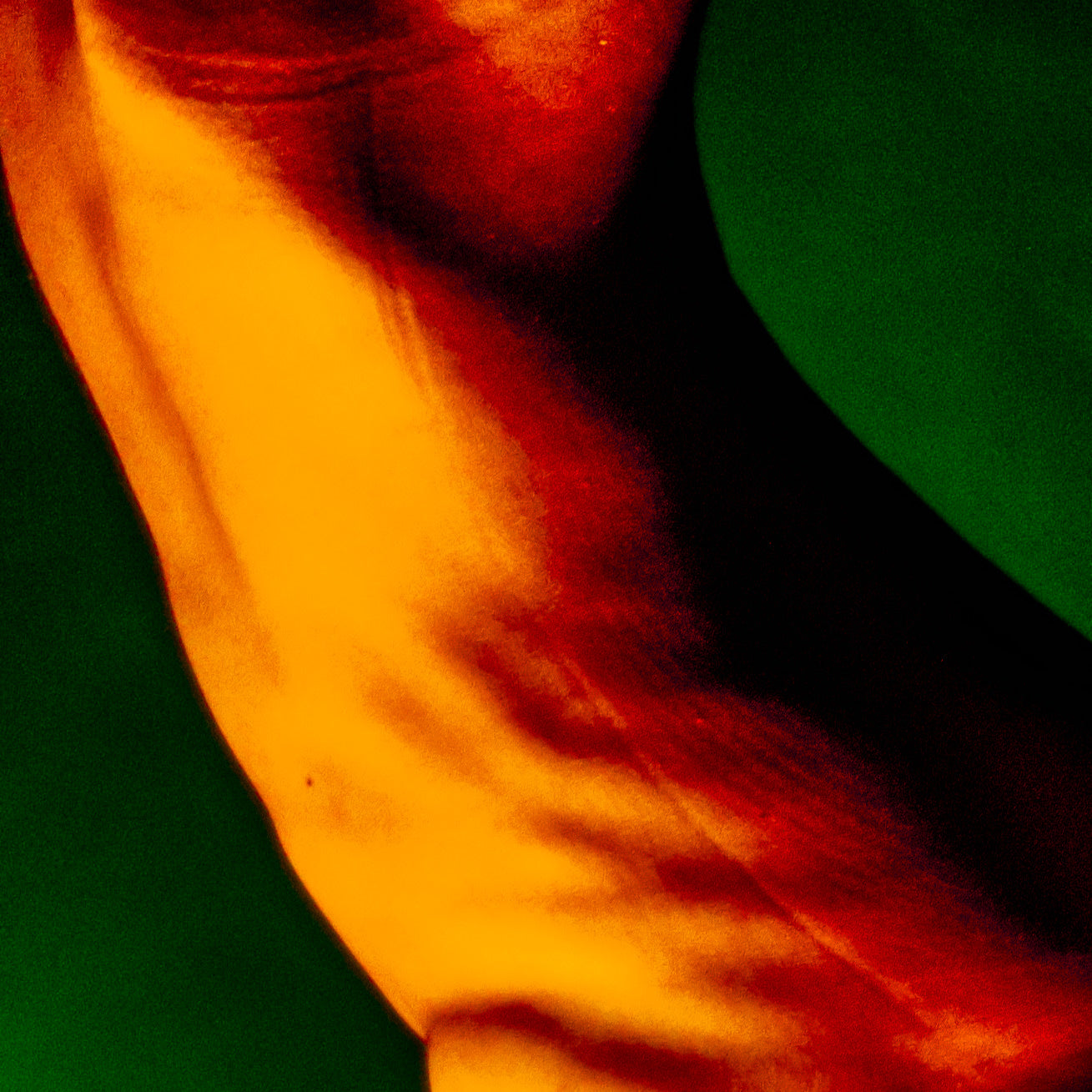 Untitled #6
