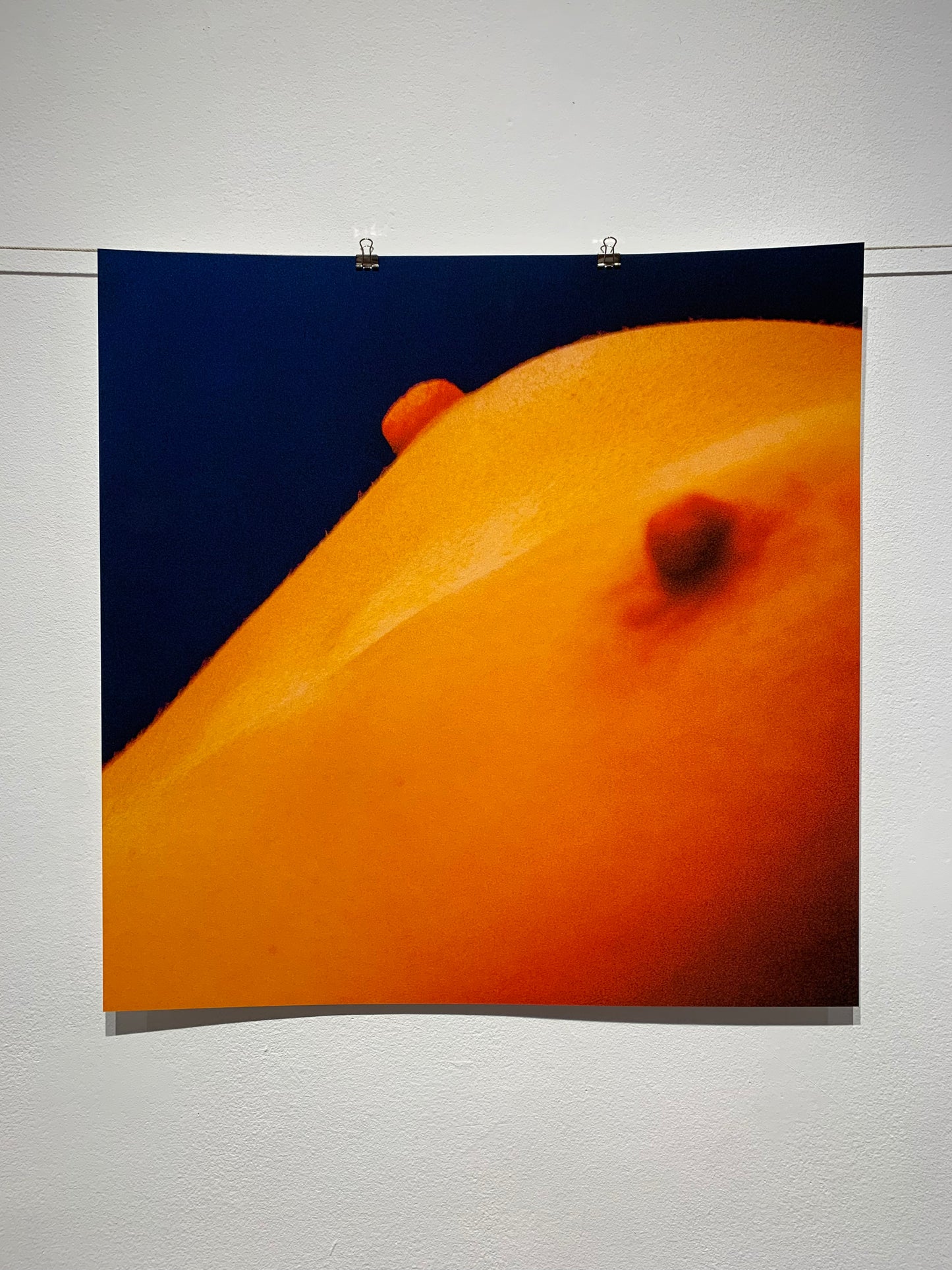 Untitled #19
