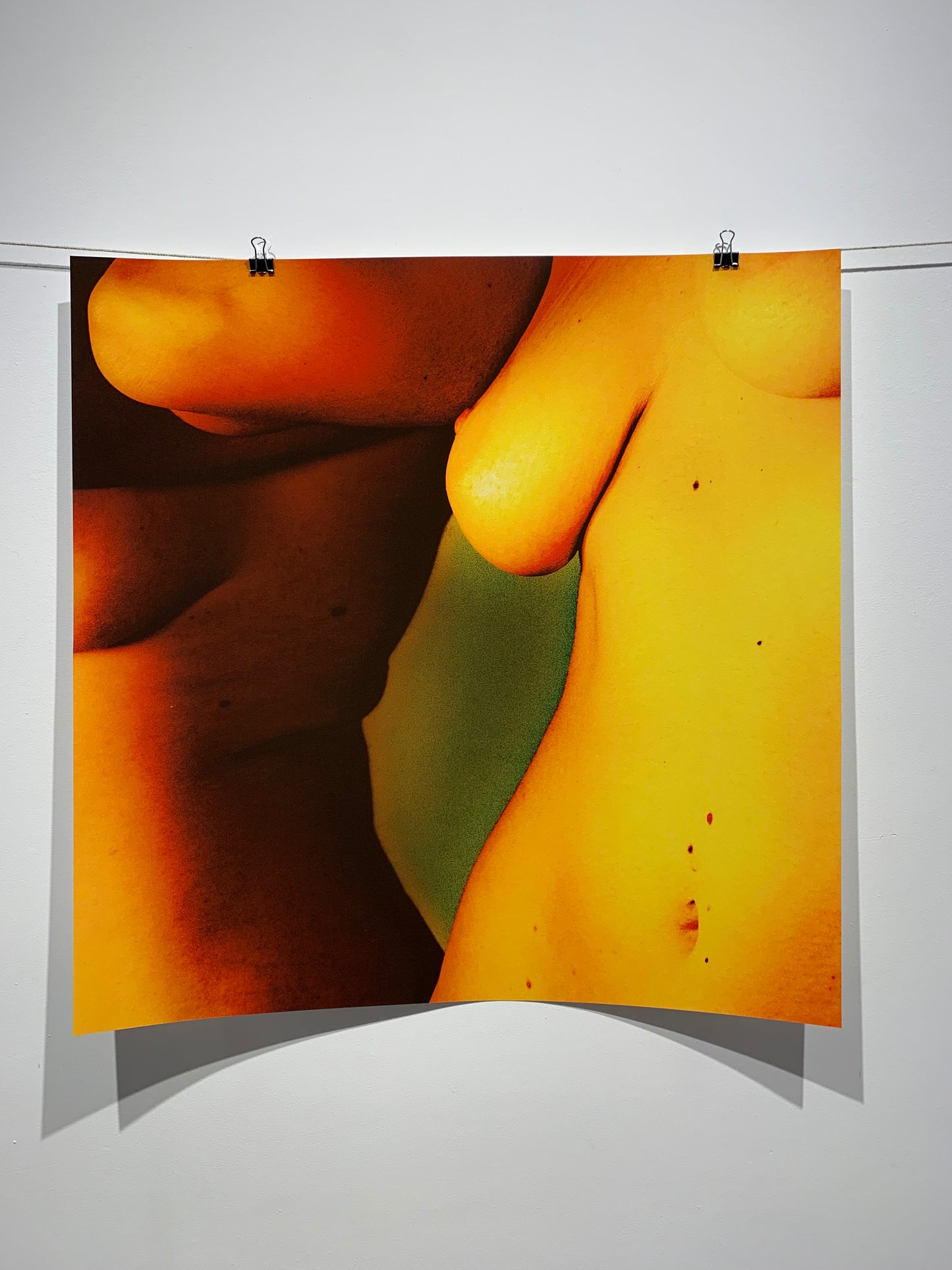 Untitled #8
